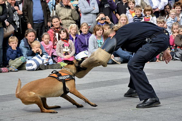 Polizeishow   046.jpg